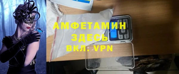 индика Арсеньев