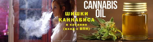 индика Арсеньев