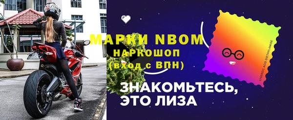 стаф Алзамай