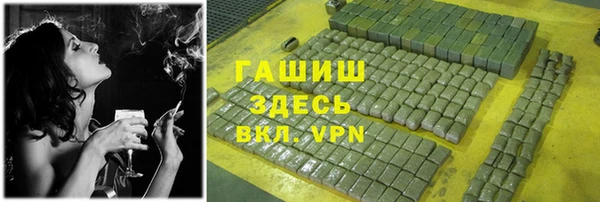 стаф Алзамай