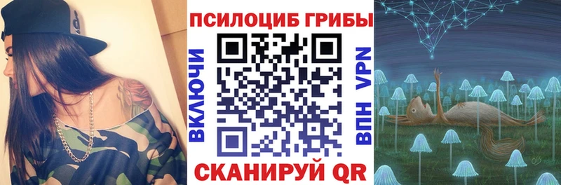 Галлюциногенные грибы Psilocybine cubensis  Абаза 